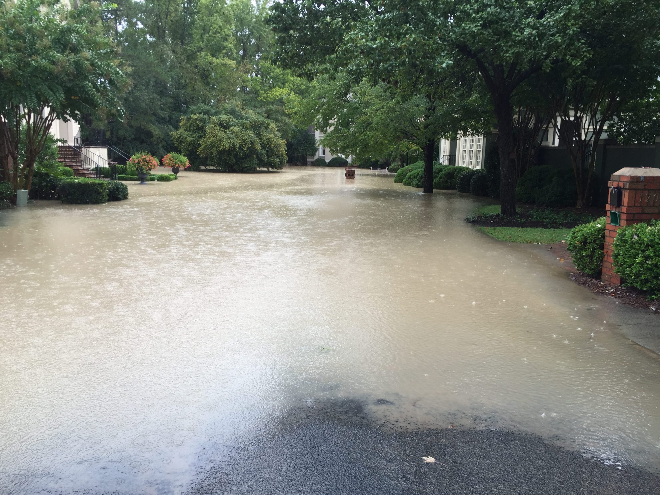 Flood Insurance 101